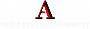 Asset Pest Management Logo